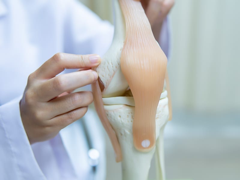 Fisio Point - Fisioterapia a Roma, Riabilitazione, Poliambulatorio, Medical Fitness, ginocchio, traumi ginocchio, dolore ginocchio, idrokinesi, ginocchio valgo, lca, lesione crociato, chirurgia ginocchio, menisco, lesione menisco, infiltrazioni ginocchio, legamento crociato, menisco mediale, ginocchio gonfio, artrosi ginocchio, crociato rotto